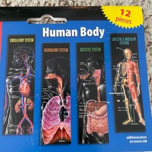 Human Body Bulletin Board - 12 Pieces - Teacher School Science Anatomy - Sealed